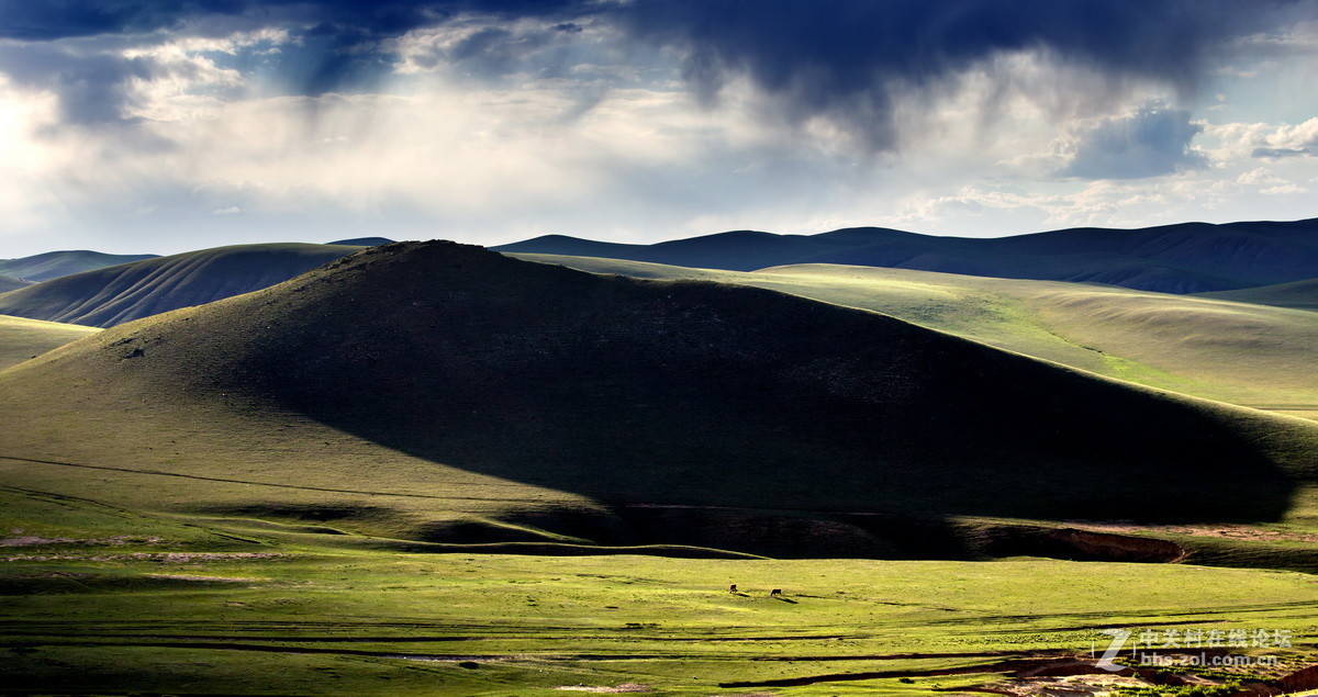 #佳能月赛-人与自然#  _ 约会草原