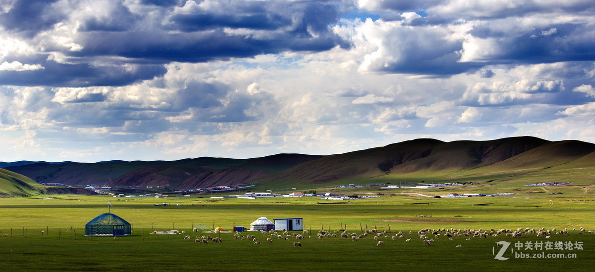 #佳能月赛-人与自然#  _ 约会草原