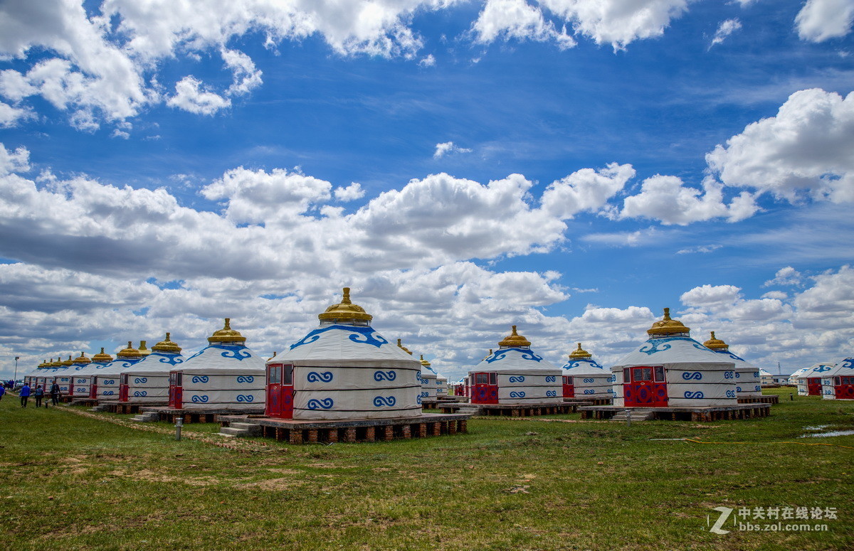 #佳能月赛-人与自然#  _ 约会草原