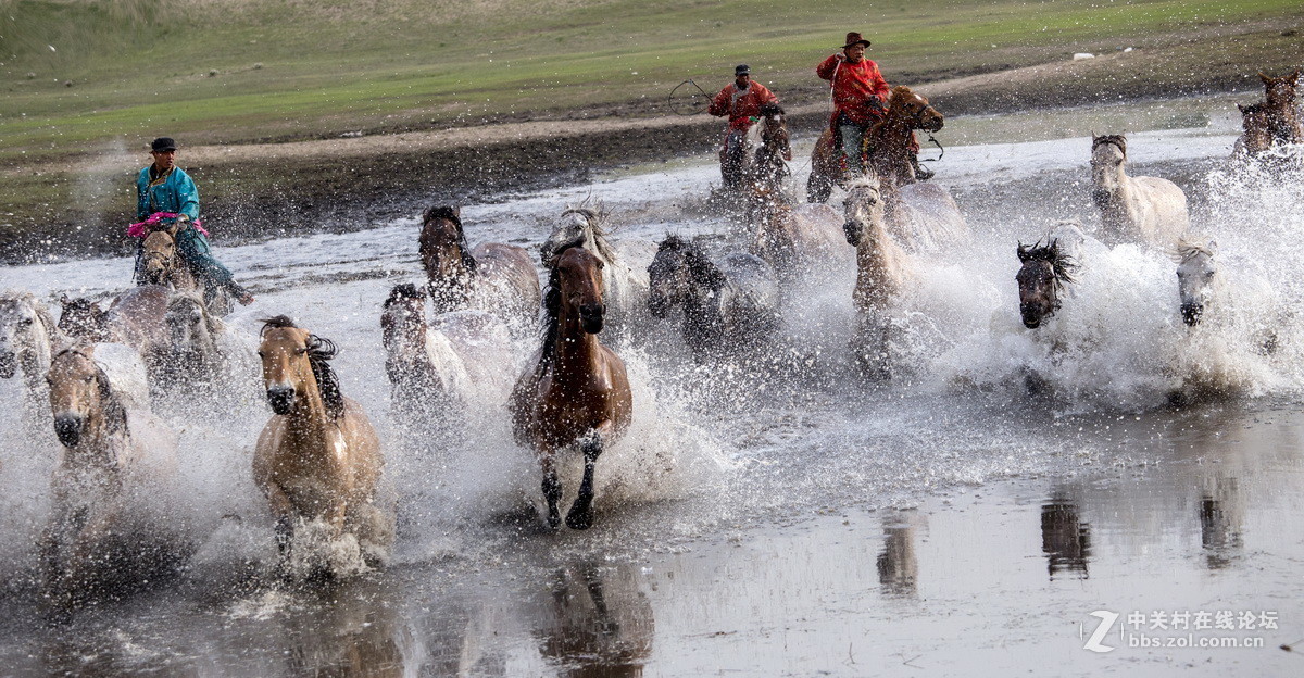 #佳能月赛-人与自然#  _ 约会草原