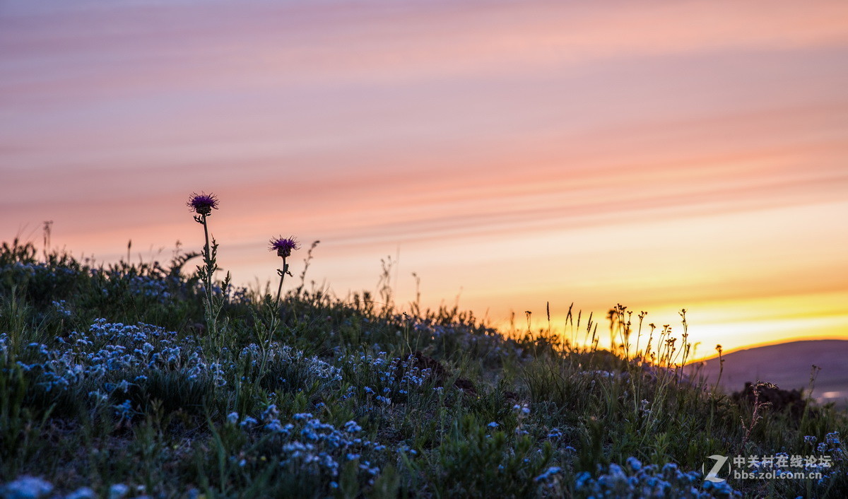 #佳能月赛-人与自然#  _ 约会草原