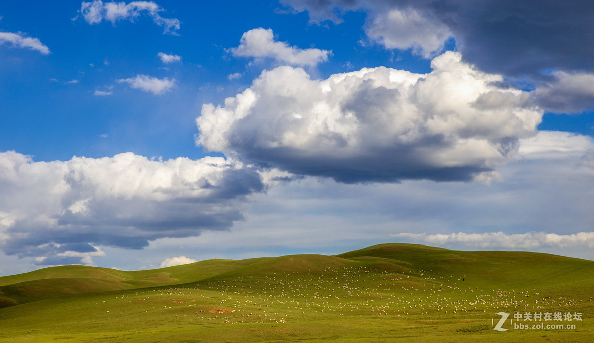 #佳能月赛-人与自然#  _ 约会草原