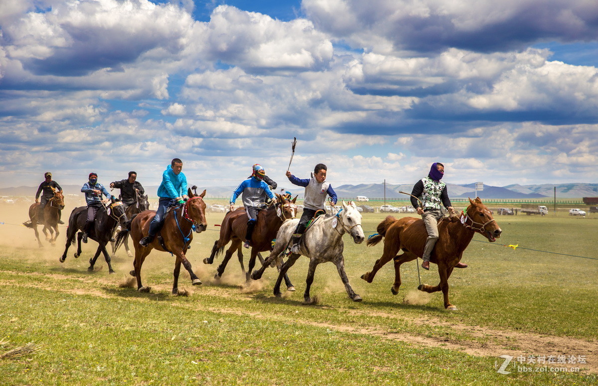 #佳能月赛-人与自然#  _ 约会草原