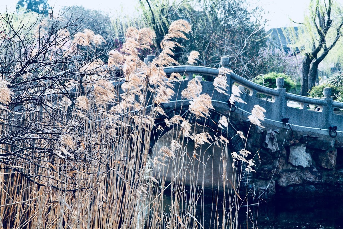 春光灿烂季节里，多看多拍！