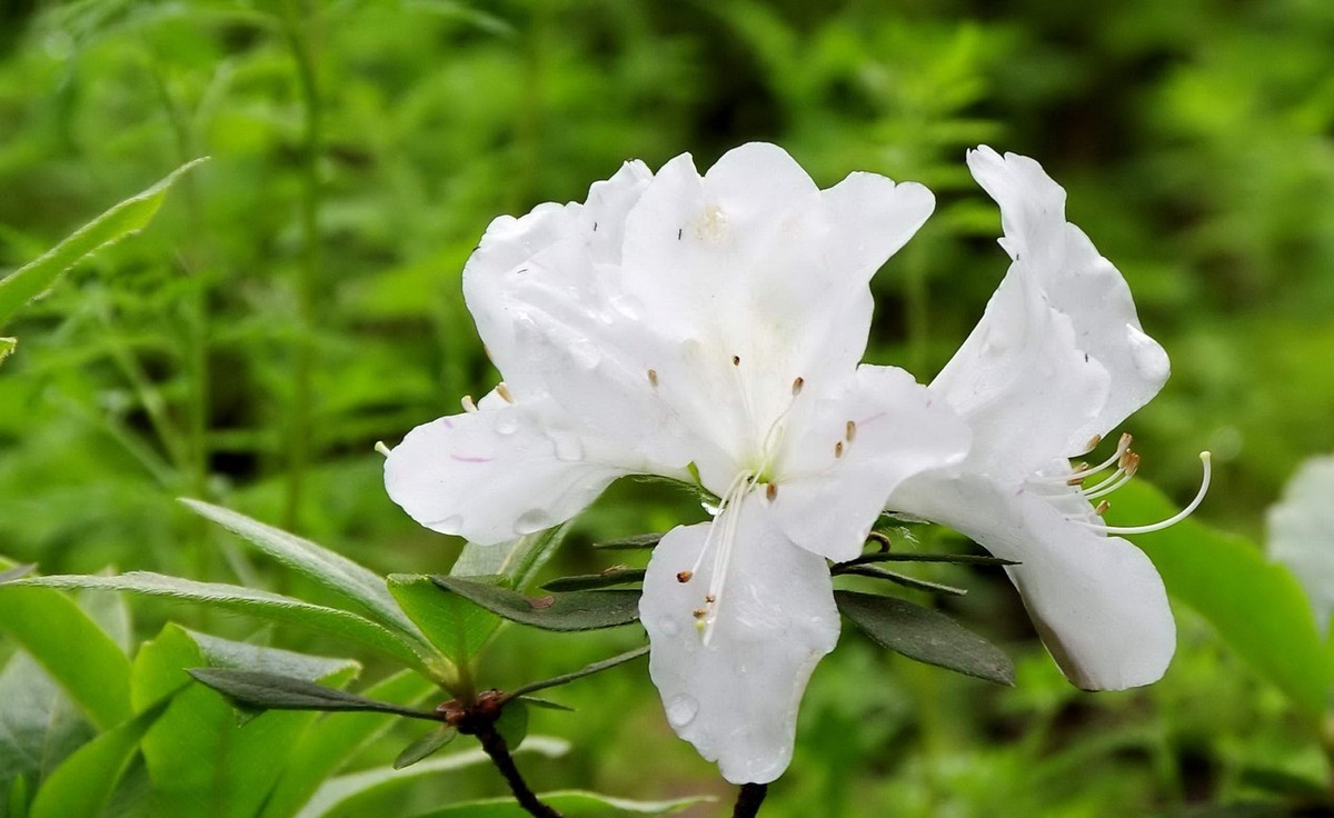 许久未逛星空(中国)了，祝各位摄友好！