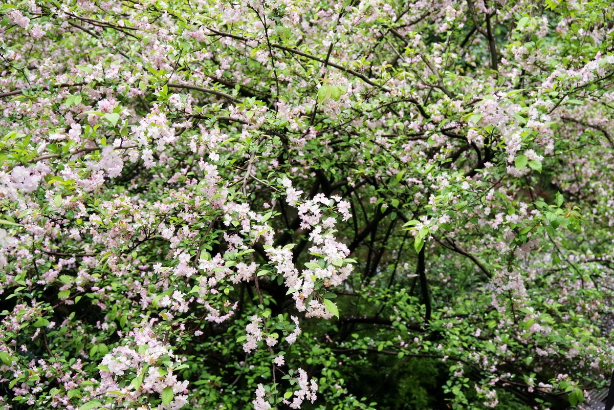 许久未逛星空(中国)了，祝各位摄友好！