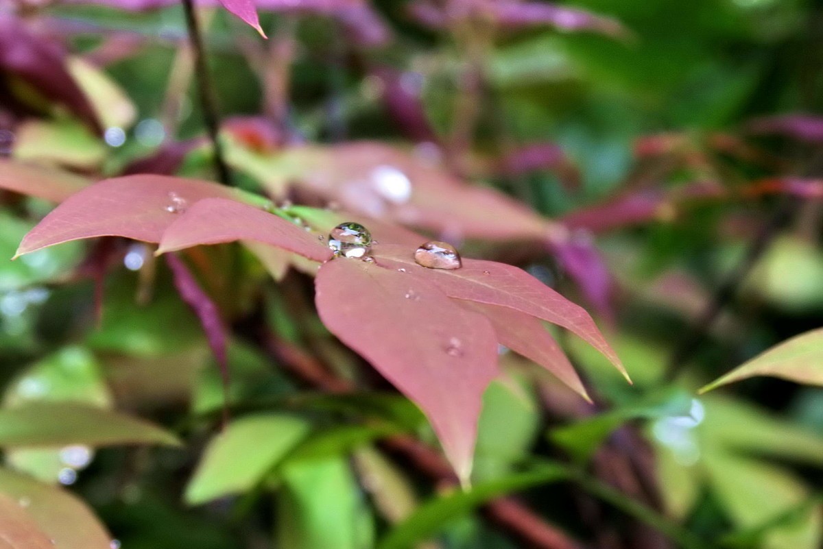许久未逛星空(中国)了，祝各位摄友好！