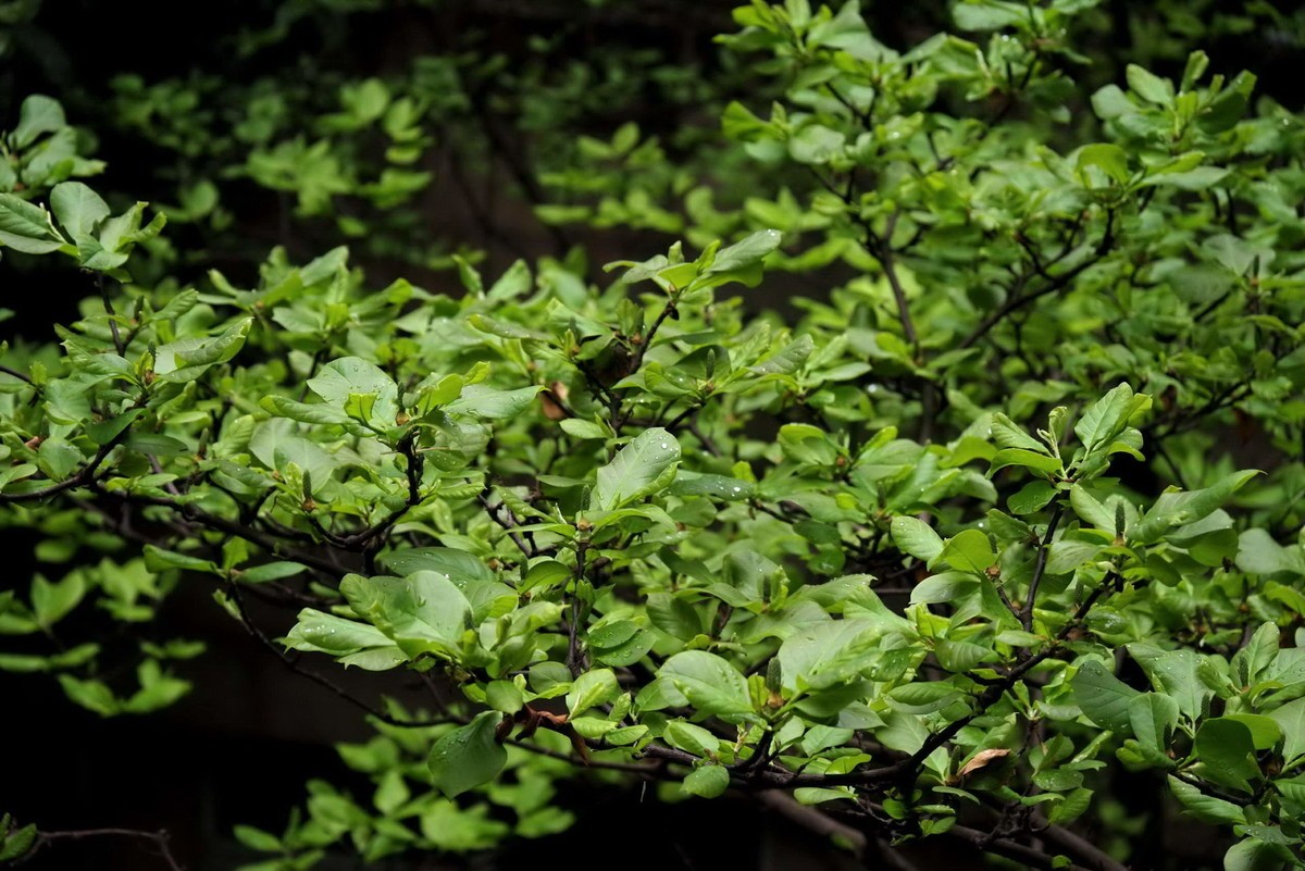 许久未逛星空(中国)了，祝各位摄友好！