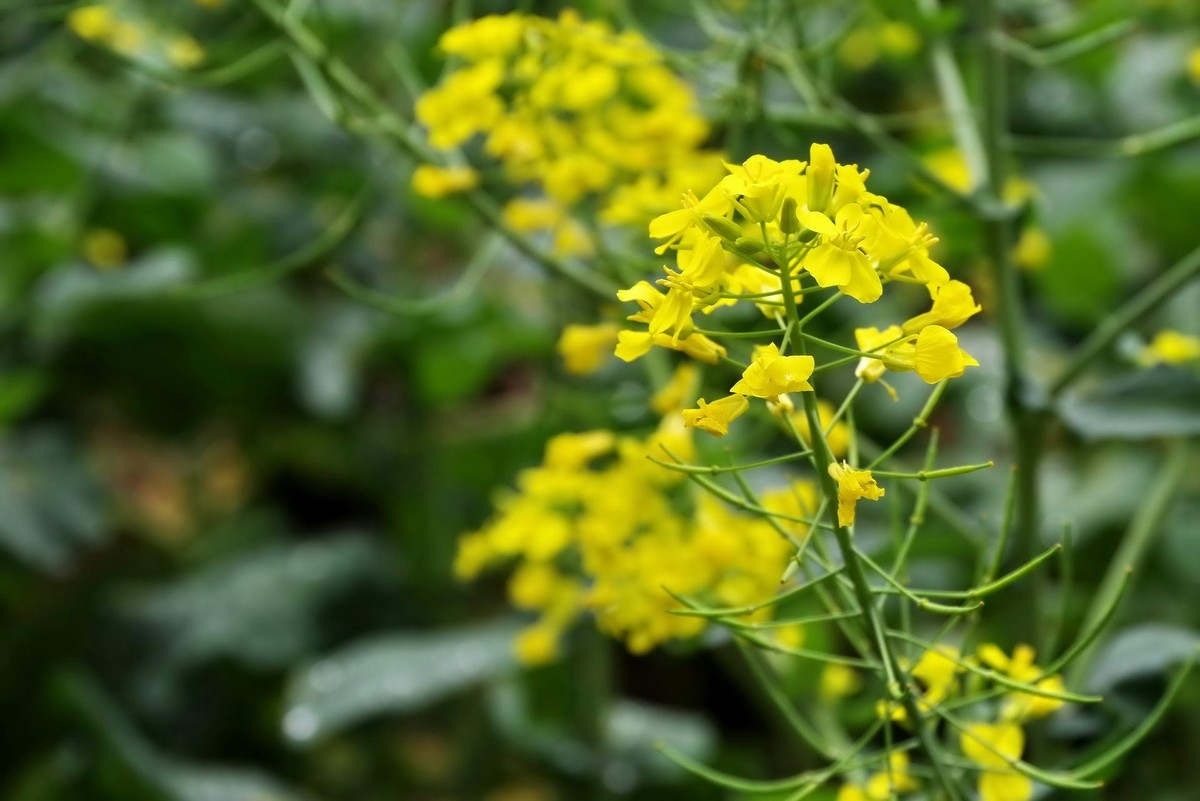 许久未逛星空(中国)了，祝各位摄友好！