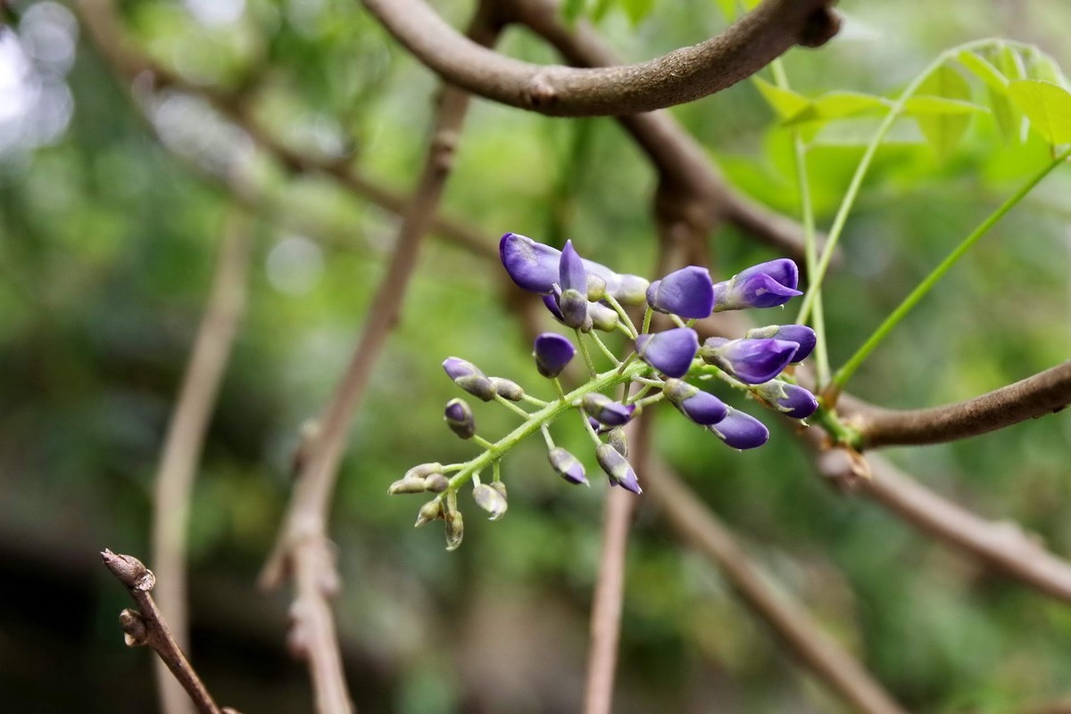 许久未逛星空(中国)了，祝各位摄友好！