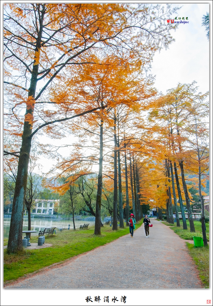 秋醉涓水湾