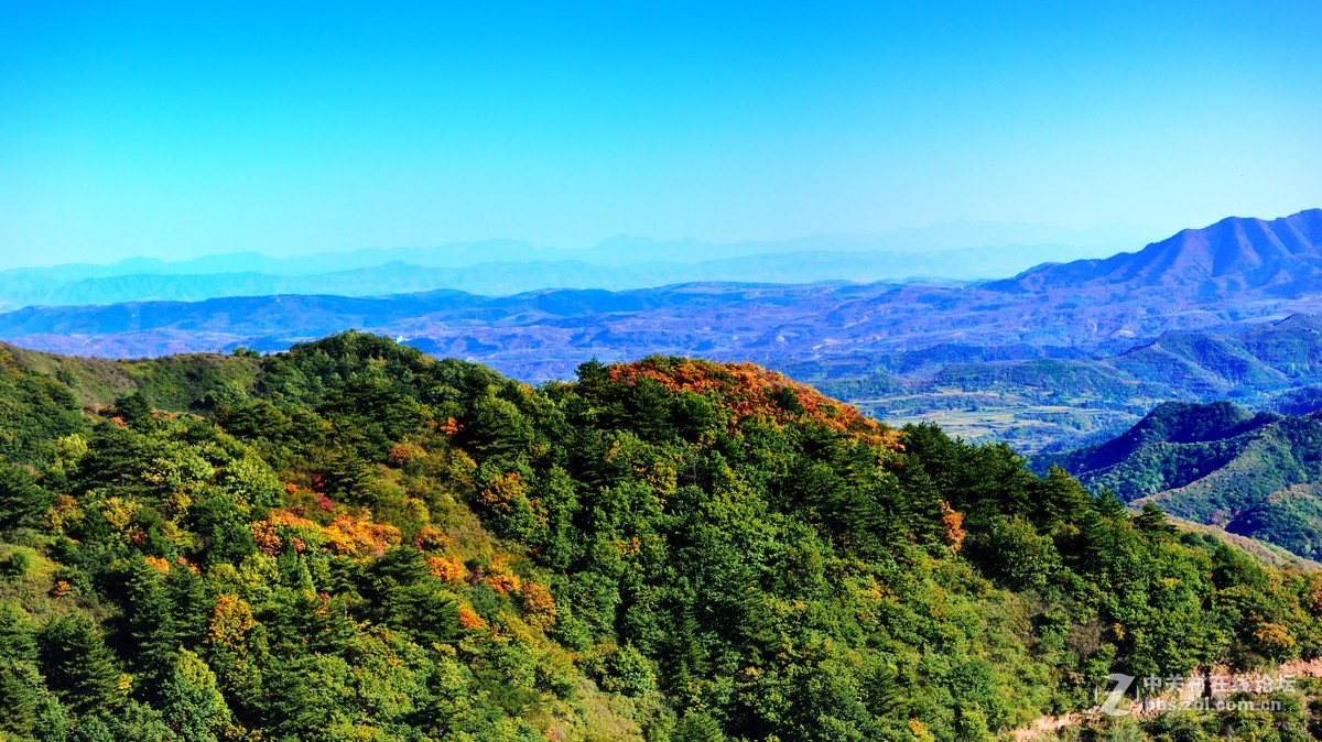 阳泉翠枫山秋色一