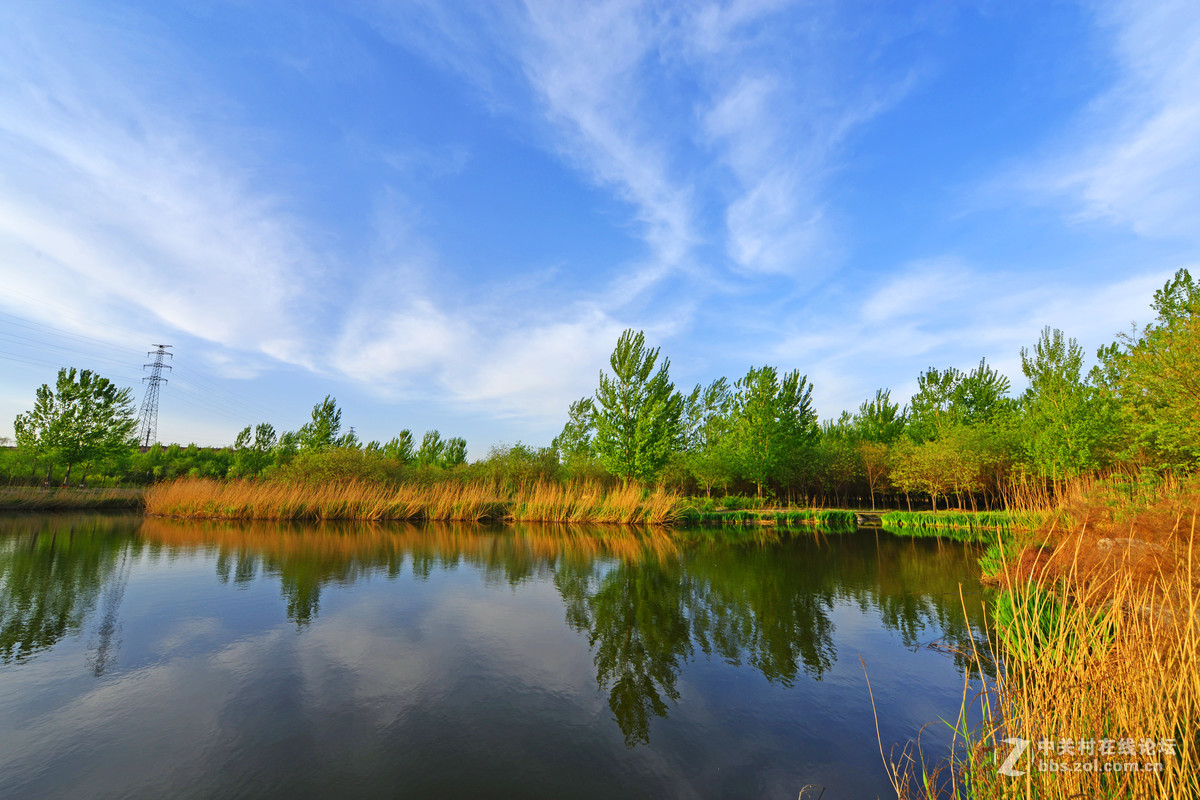 孝义湿地公园美景描述图片