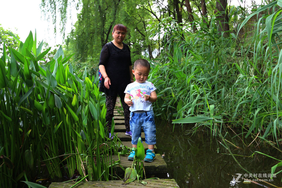 给80d配个好镜头