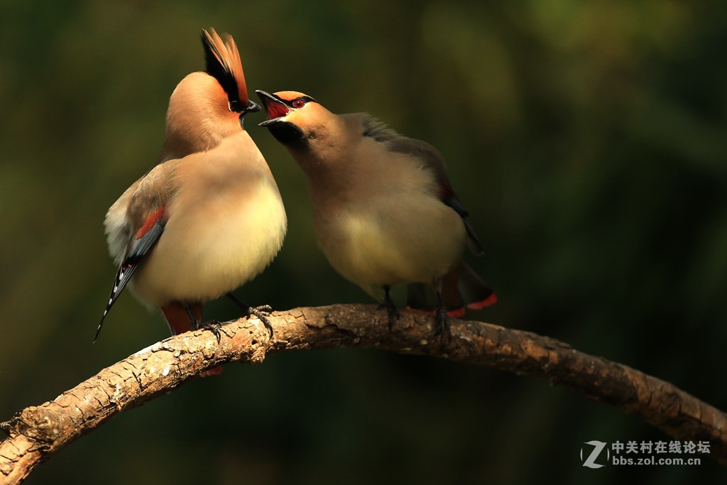 咋滴，服不服？？