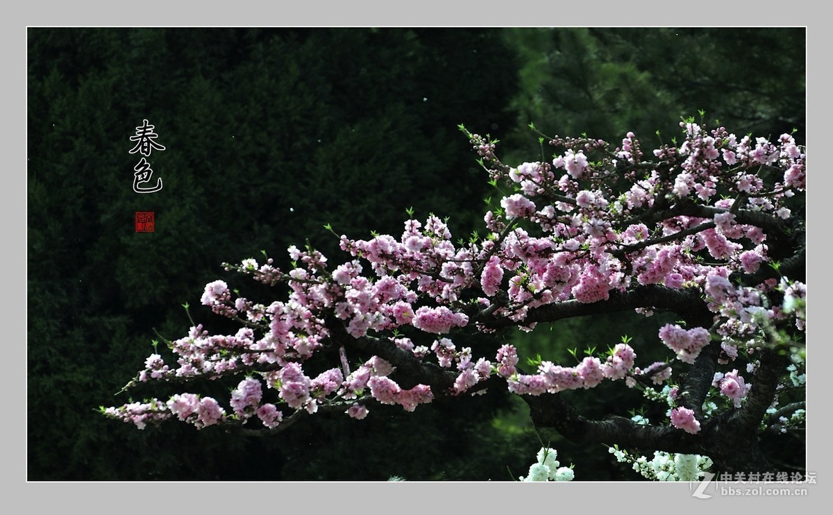 #版主坐堂#2016年6月份《承德》优秀作品选辑