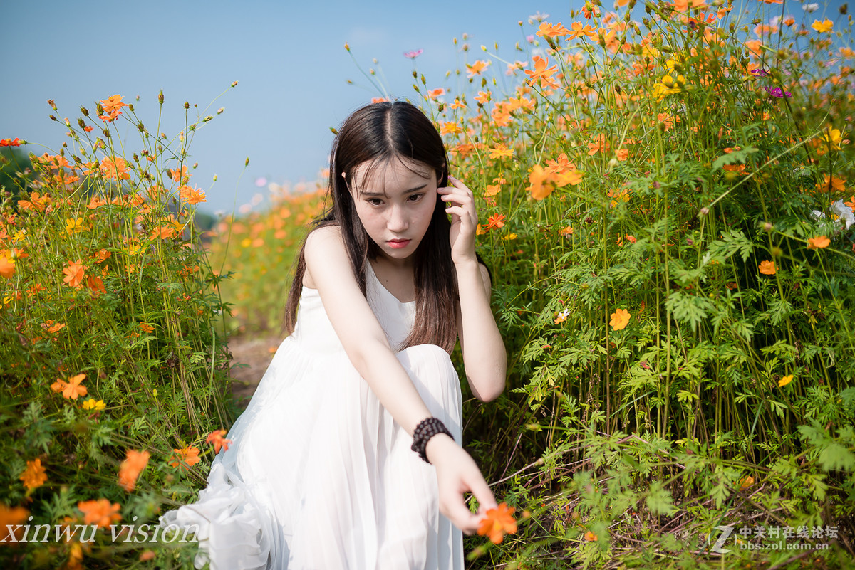 格桑花之花季少女雯雯