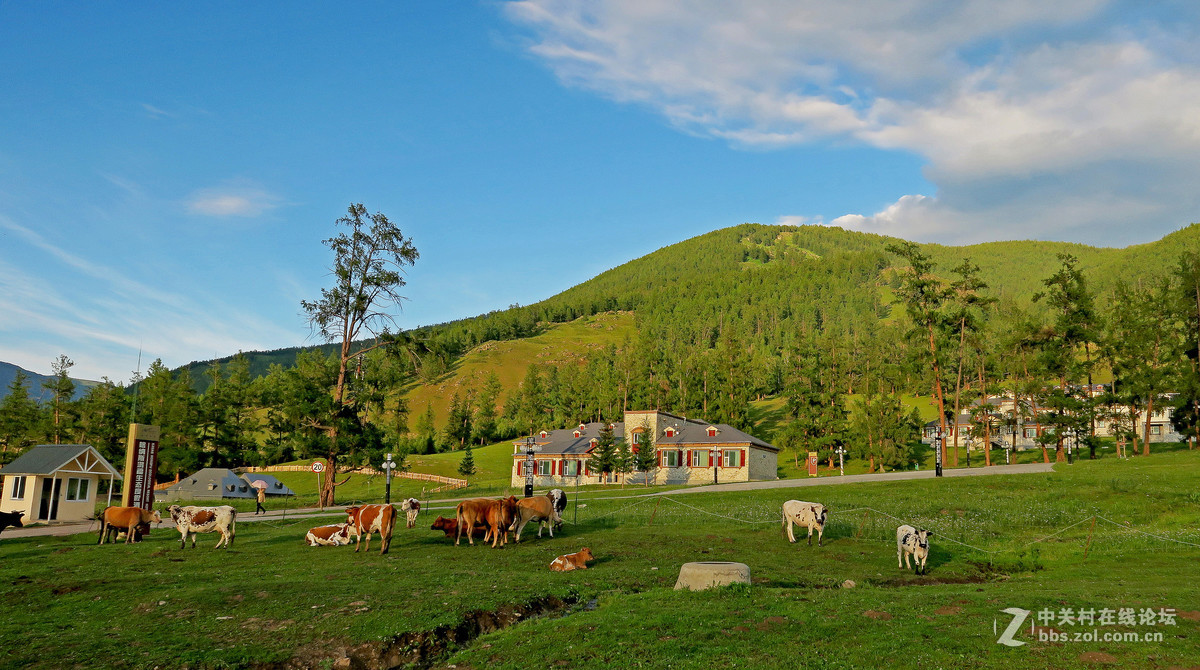 大美新疆行喀纳斯贾登峪