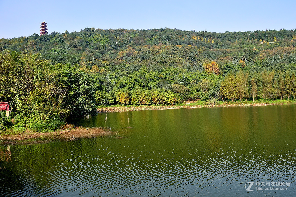 冬季的照母山森林公園