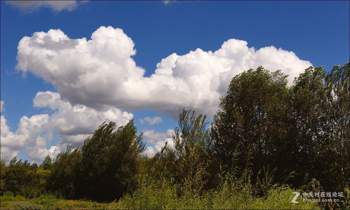 休闲随拍（327）