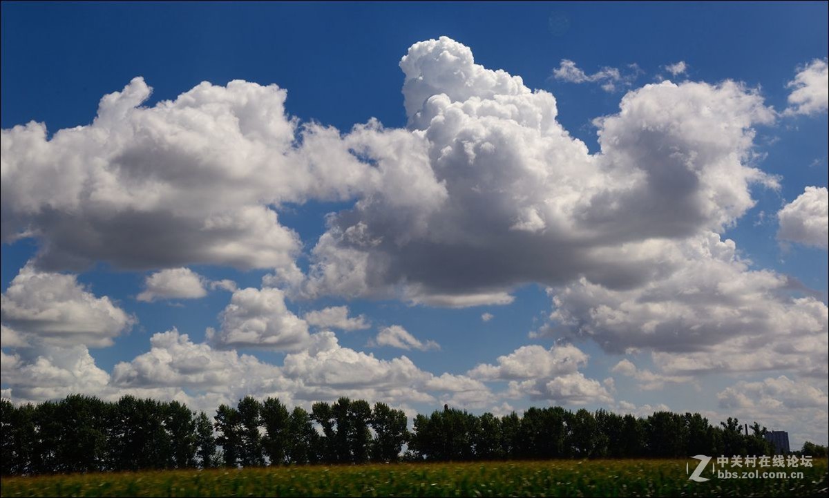 休闲随拍（327）