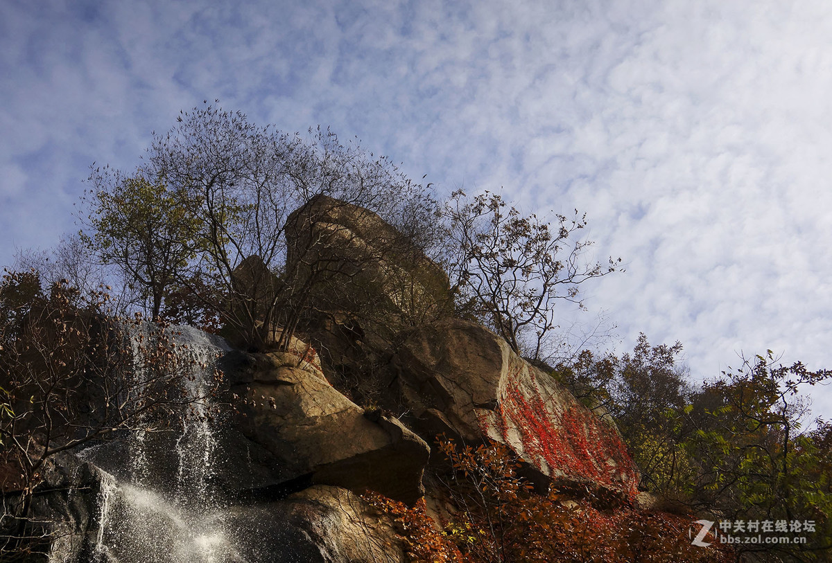 #版主坐堂#【天津版块】2016年11-12月金、银钻精华汇总