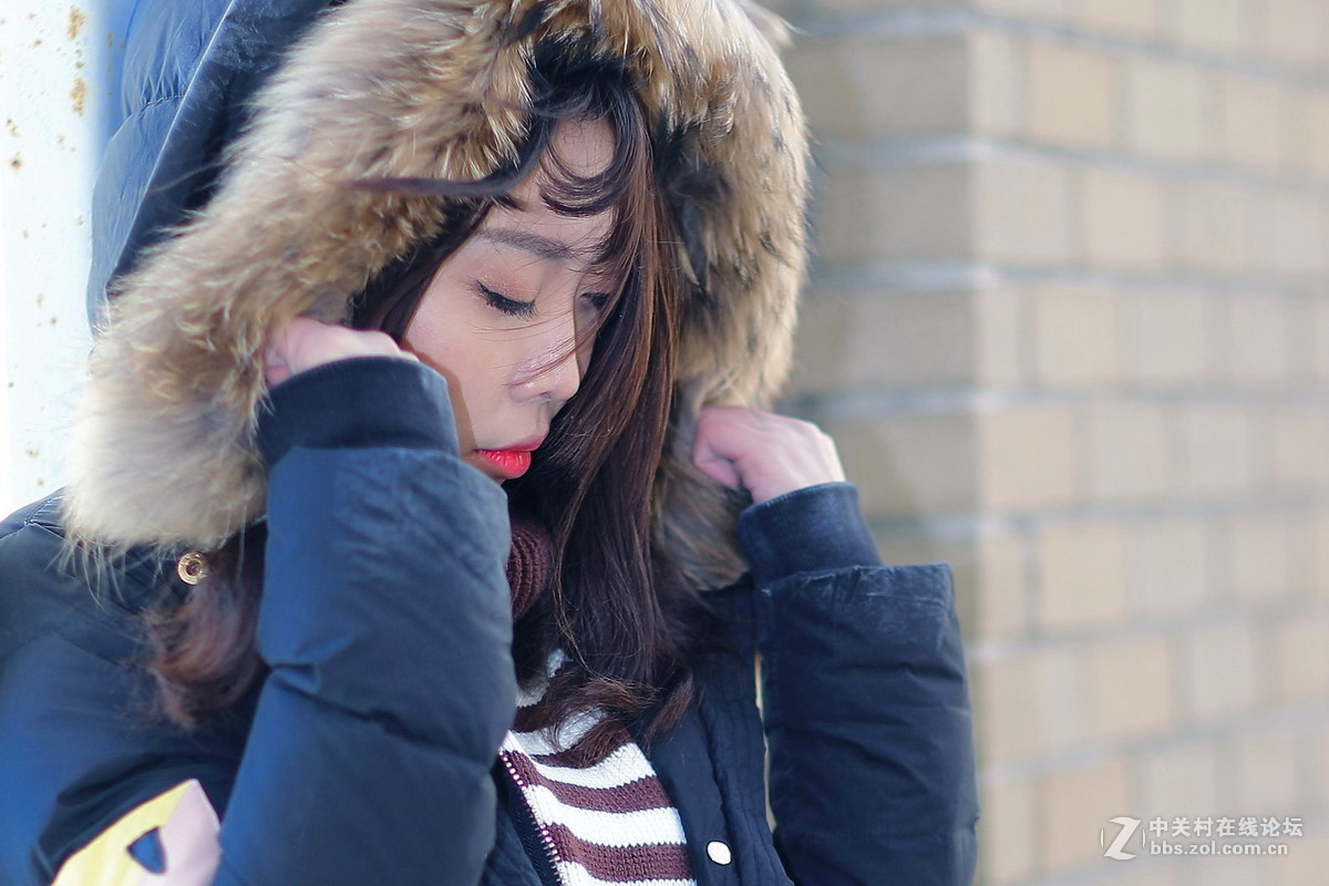 #版主坐堂#【天津版块】2016年11-12月金、银钻精华汇总