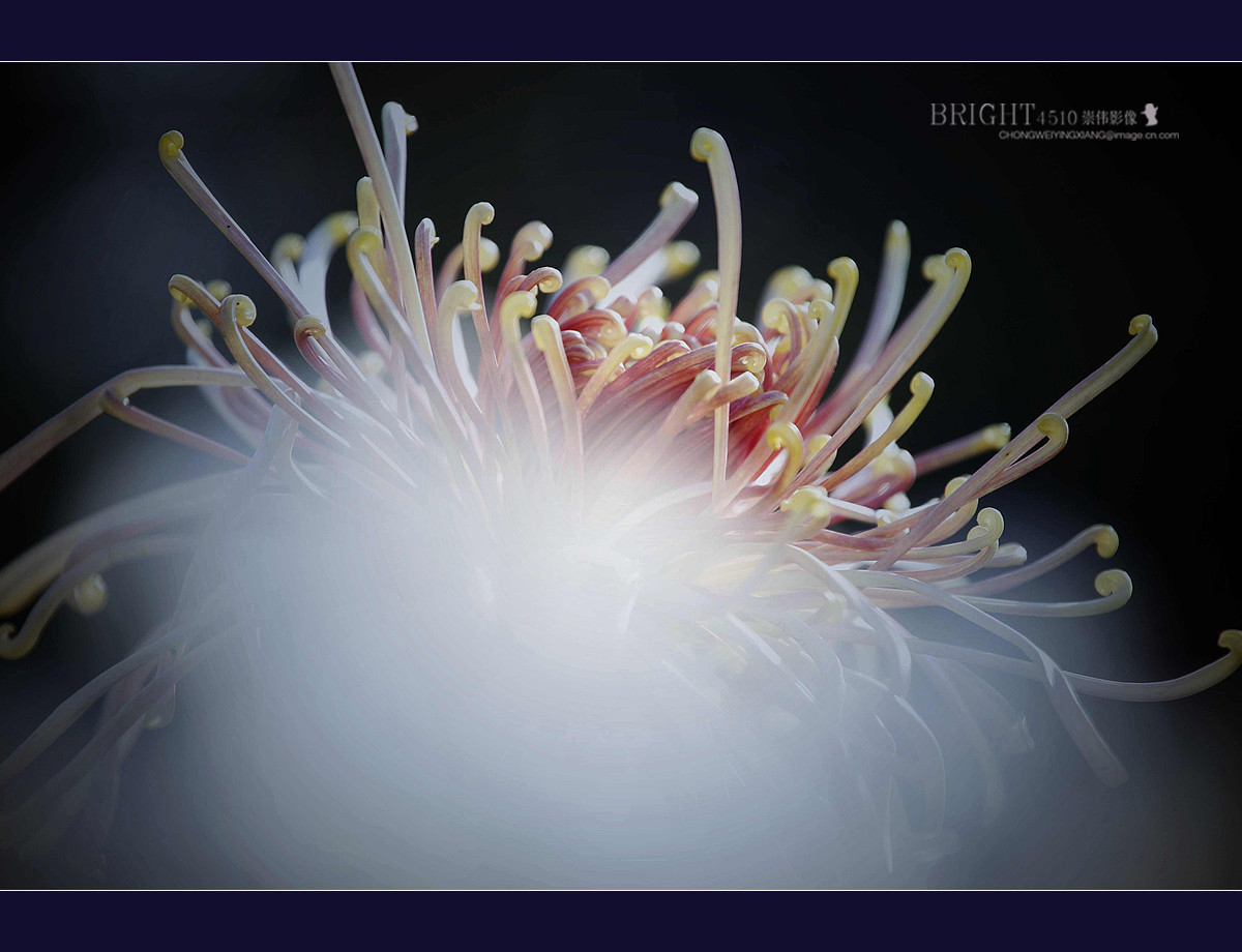 #版主坐堂#【天津版块】2016年11-12月金、银钻精华汇总