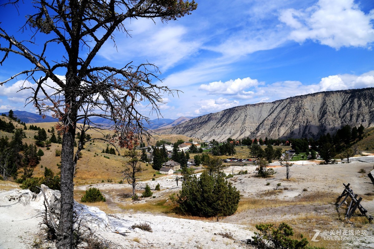 美国黄石公园随拍