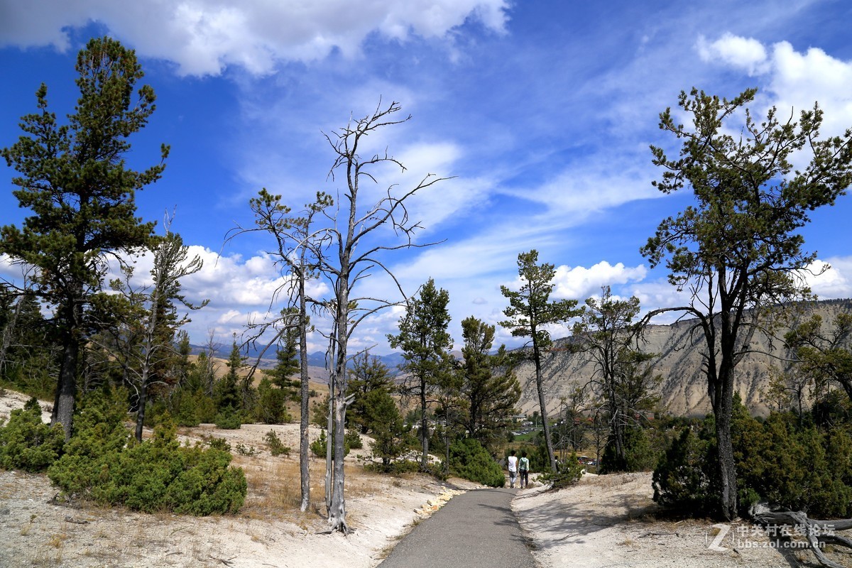 美国黄石公园随拍