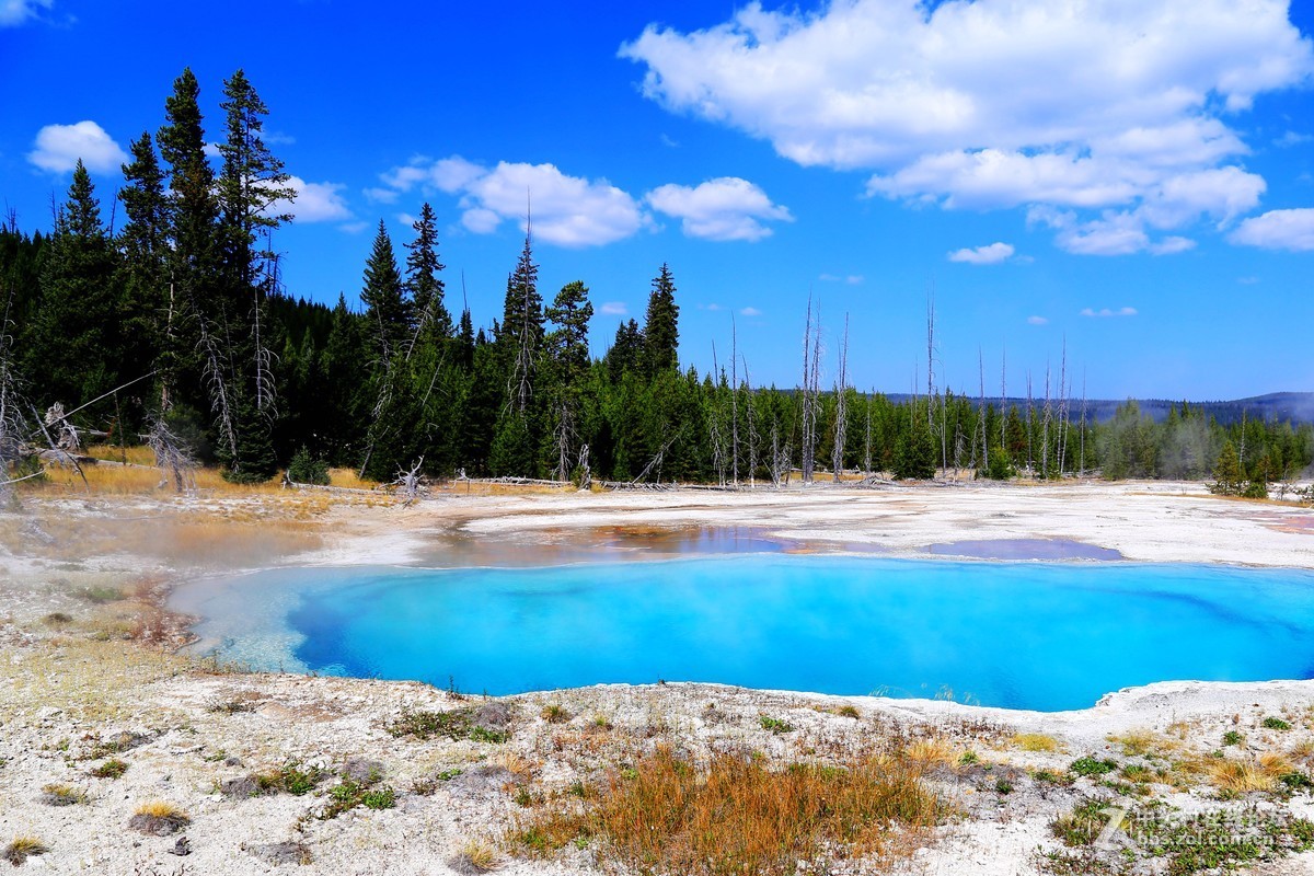 美国黄石公园随拍