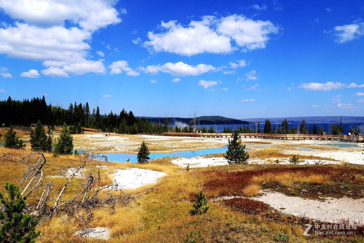 美国黄石公园随拍