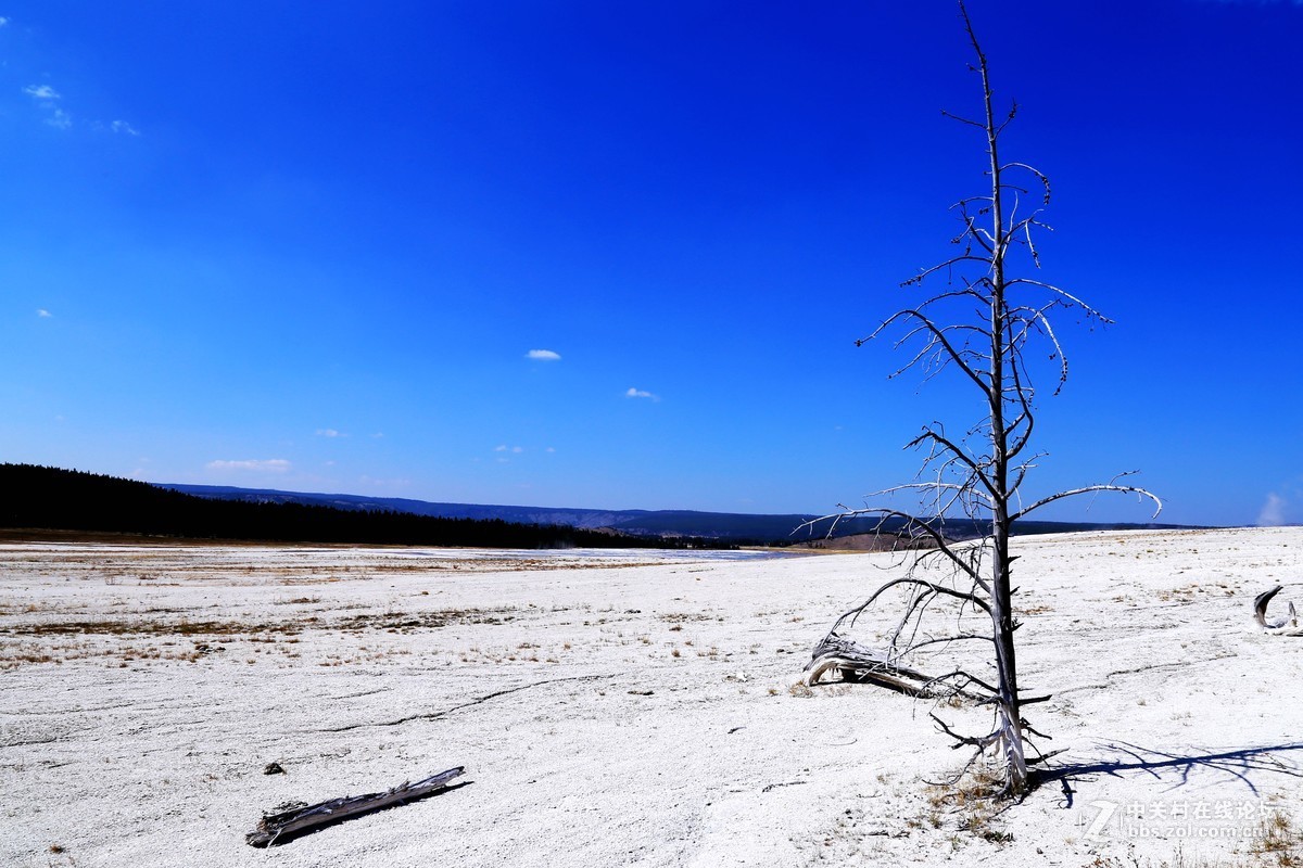 美国黄石公园随拍