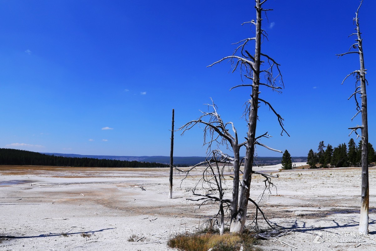 美国黄石公园随拍
