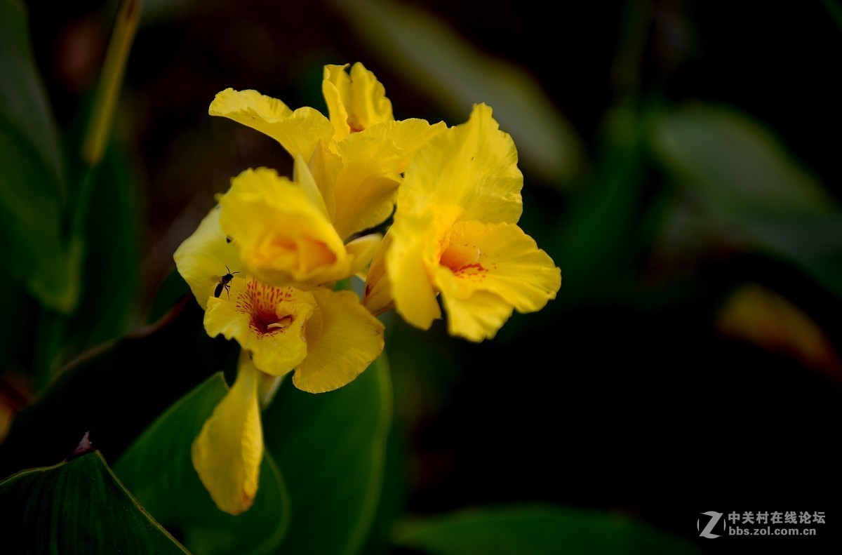 D850试机——大运河森林公园