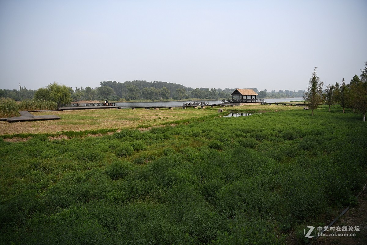 D850试机——大运河森林公园