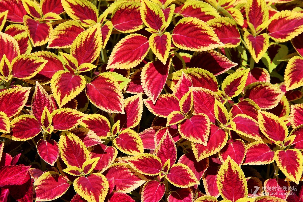 #佳能EOS M6-定格光影# 长城一日游