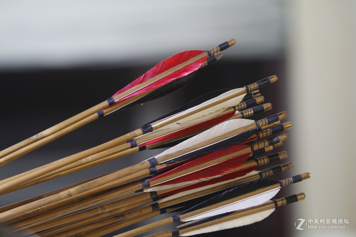 新镜头到手，下雨只能在屋里试拍几张