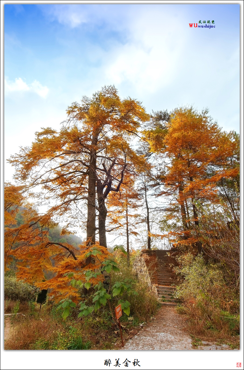 醉美金秋