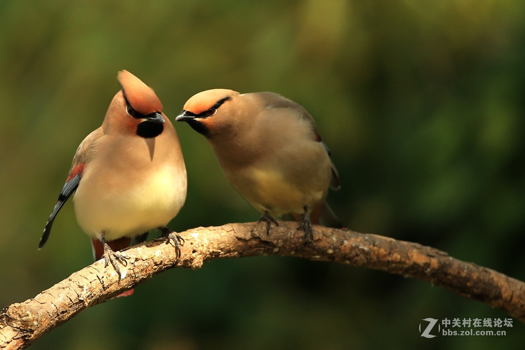咋滴，服不服？？