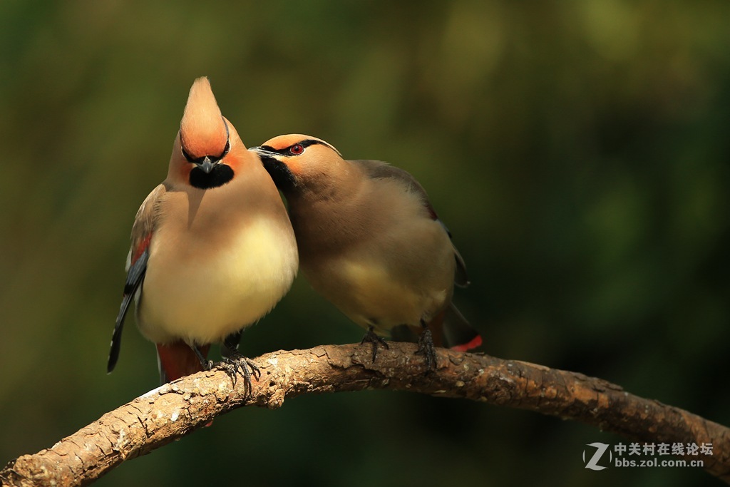 咋滴，服不服？？