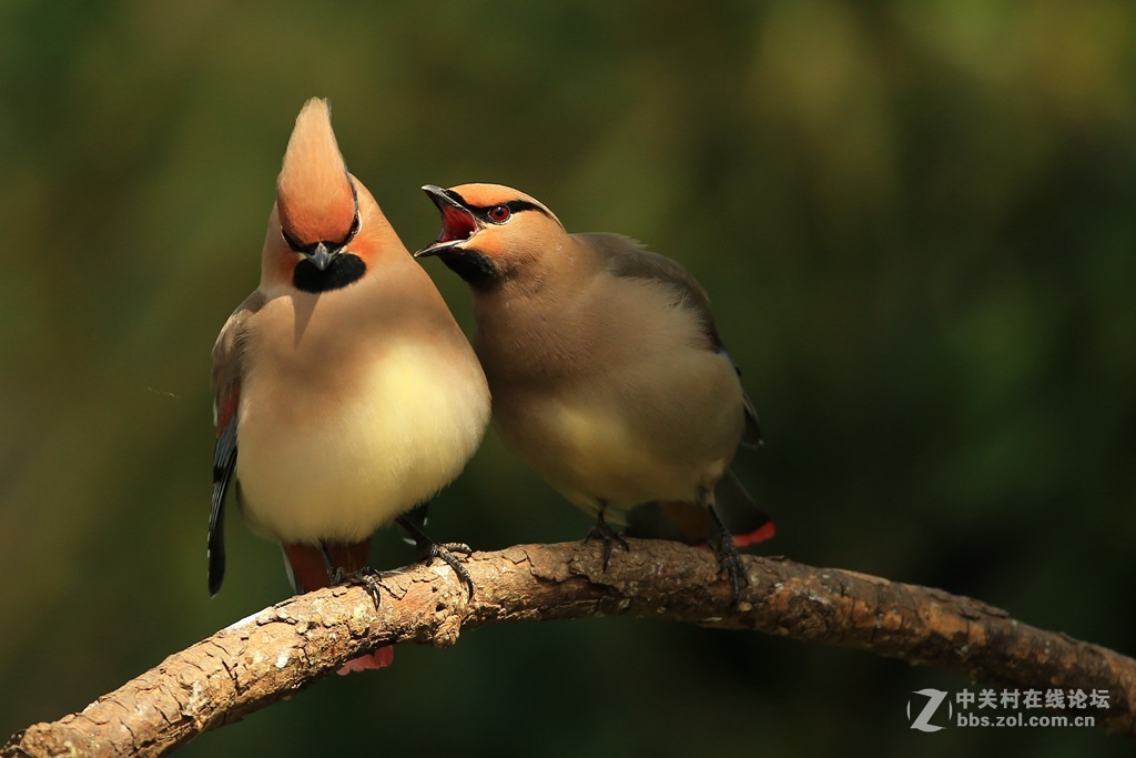 咋滴，服不服？？