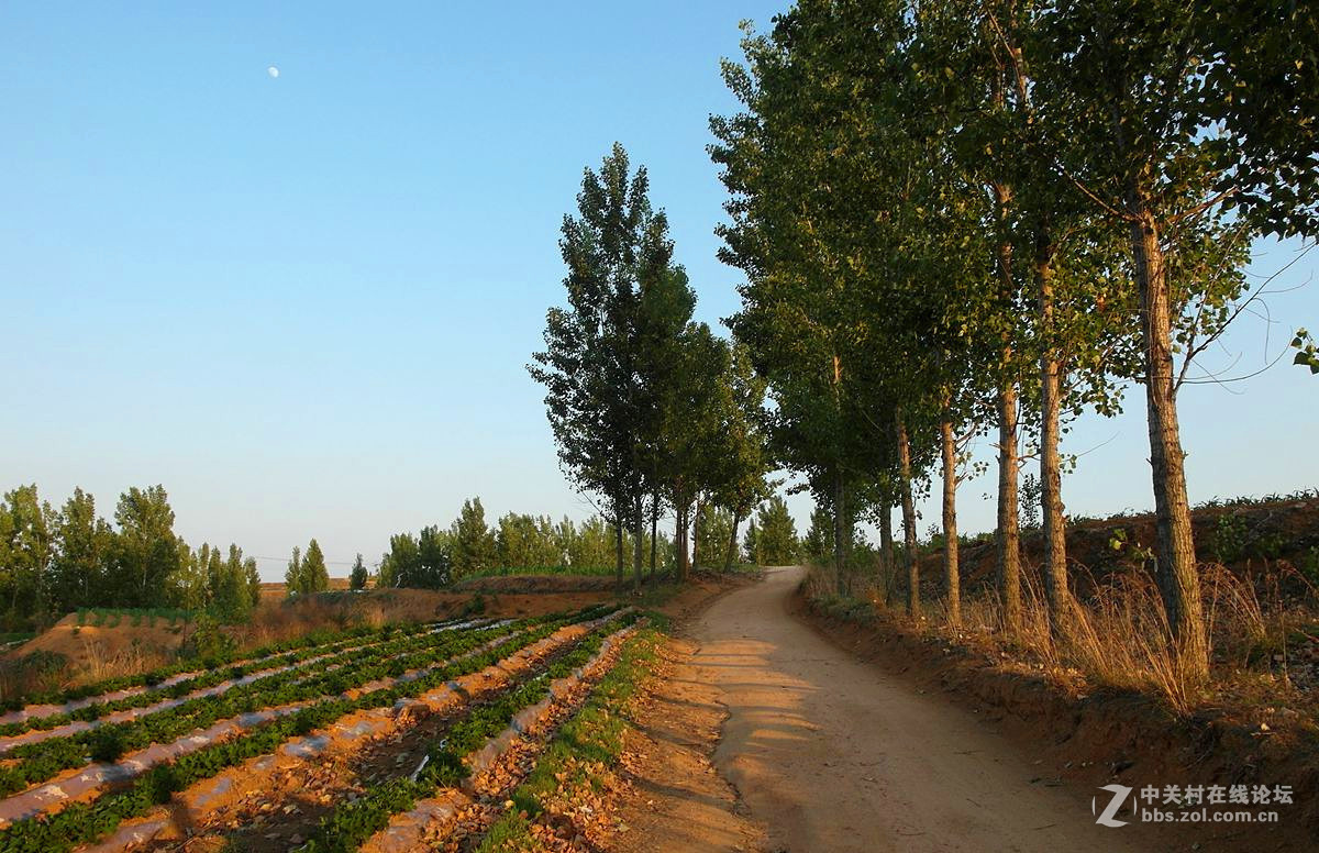 #版主坐堂#2016年6月份《承德》优秀作品选辑