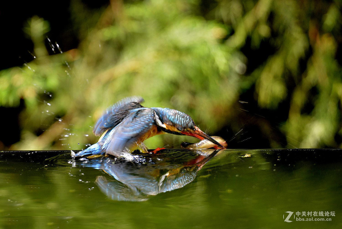 #版主坐堂#2016年6月份《承德》优秀作品选辑