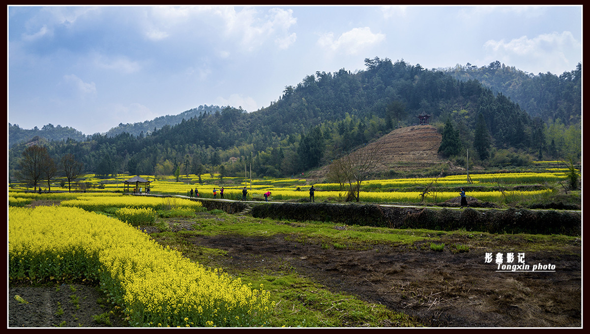 #版主坐堂#2016年6月份《承德》优秀作品选辑