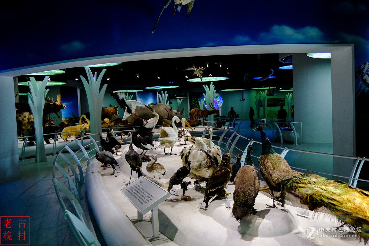 重庆自然博物馆北碚