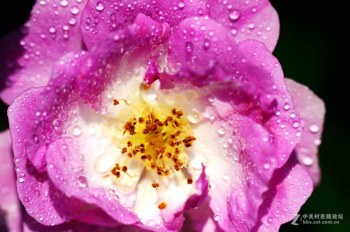 尼康70-300加近摄镜