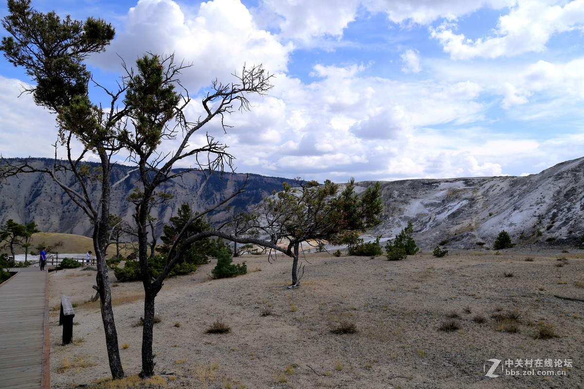 美国黄石公园随拍