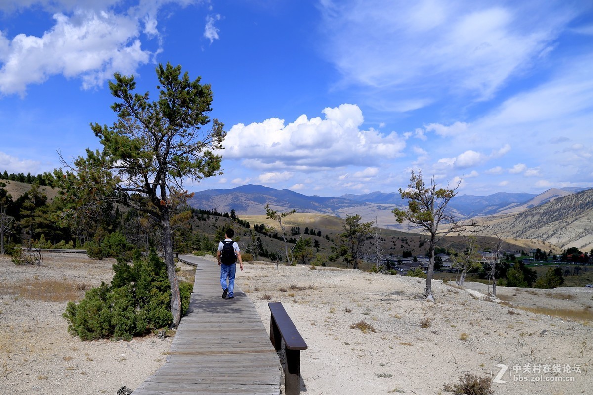 美国黄石公园随拍