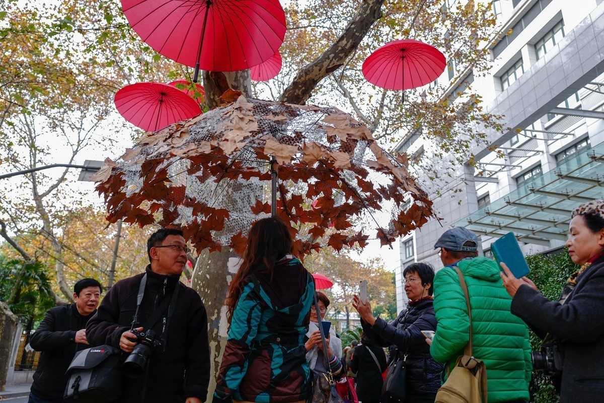 岳阳路上的落叶季